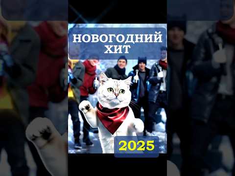 КОТ ИСПОЛНЯЕТ ДУШЕВНЫЙ РЭП #song #rap #newyear #christmas #кот #рэп #новыйгод #юмор #humor #cat #хит