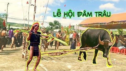 Lễ hội đâm trâu phong tục người banar | Mừng mùa bội thu | Ana jrai vn