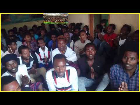 JEEKKARSA WAAQEFFATTOOTAA 