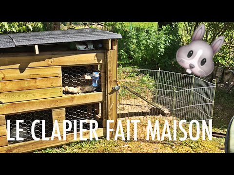 Vidéo: Comment construire le parfait clapier de lapin