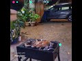 THE LAST OMBAK FAMILY B.B.Q NIGHT 17 NOVEMBER 2023