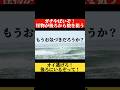 【㊗️160万回再生/サメより怖い怪物が狙ってる動画】#shorts #サーフィン