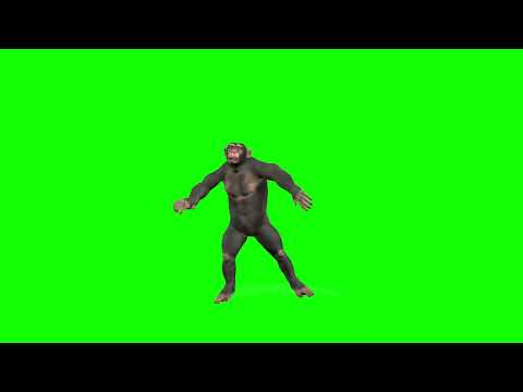 [4K] Dancing Monkey