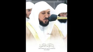 تلاوة خاشعة للشيخ د. ماهر المعيقلي من سورة القلم رمضان  ١٤٤٥ه‍ـ