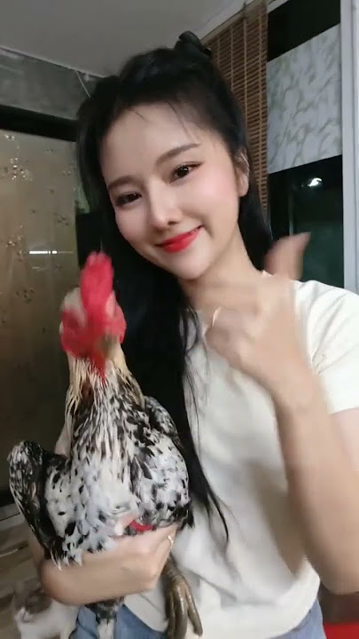 Cewek hobi ayam bangkok