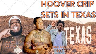 Texas Takeover: The Rise of Hoover Crips Across Major Cities