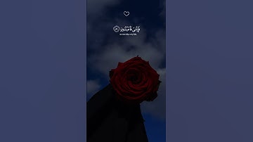 ❤️🌱وإذا قرئ القرآن فاستمعوا له وأنصتوا لعلكم ترحمون 🌱❤️#قرأن #fyp #تلاوة_خاشعة #qouran #subscribe
