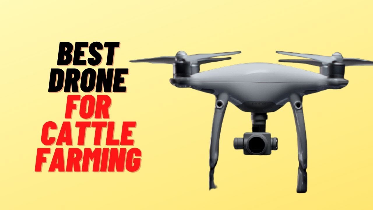 Top Best Drones For Cattle Farming Drone For Checking Cattle Youtube