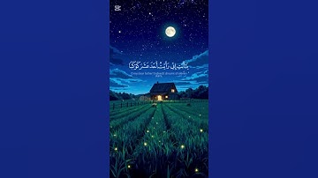إِذْ قَالَ يُوسُفُ لِأَبِيهِ♥️#سورة_يوسف #عبيدةموفق #قرآن #quran #الجزائر