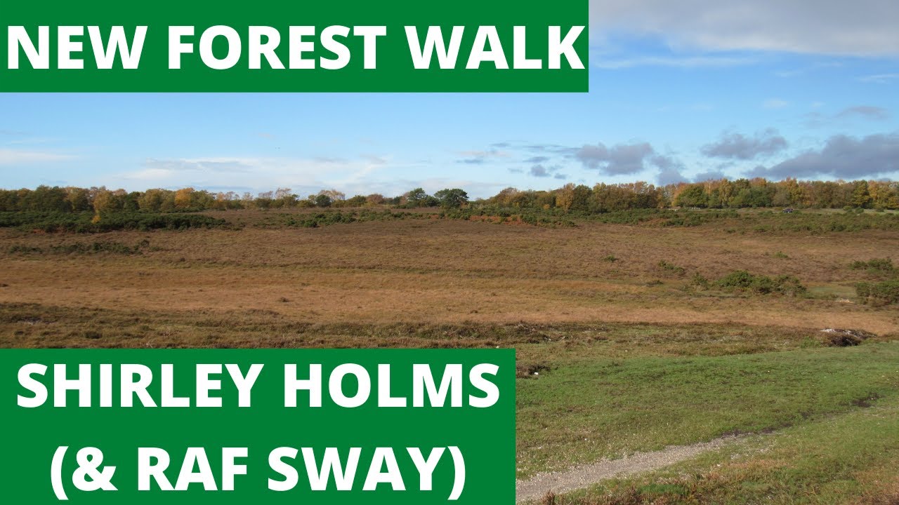 NEW FOREST WALK at SHIRLEY HOLMS - THE SEARCH FOR THE MARLPIT OAK (& RAF SWAY)