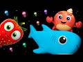 Is a Crab a Fish? 🦀🌊 Roda Roda Beach Dance Song | Funky Fruits Baby Sensory