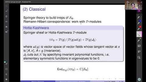 The ``Springer" representation of the DAHA