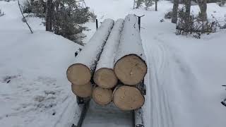Skandic 900 Ace Widetrack Pulling Logs With Bob Sleds