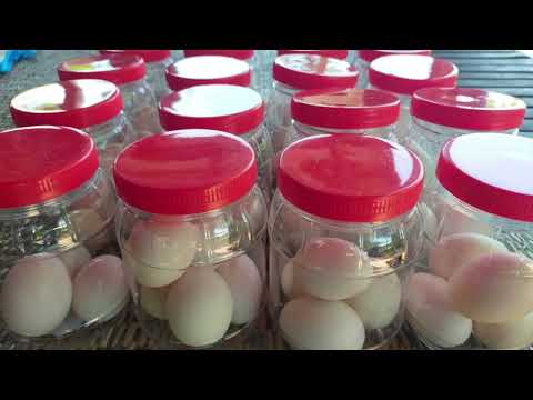 ผลสลากกินแบ่งรัฐบาล วันที่ 1 พย. 2567