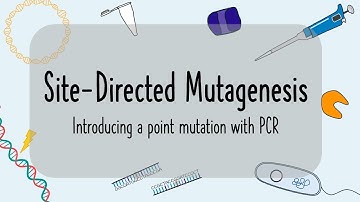 Site-Directed Mutagenesis Explained: How to Introduce DNA Mutations with PCR