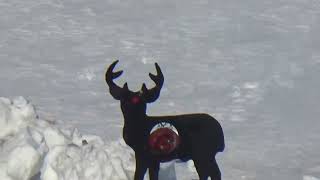 Can a .338 Lapua Mag be an effective home defense gun 1:40 video length, you can do it!!! Guide
