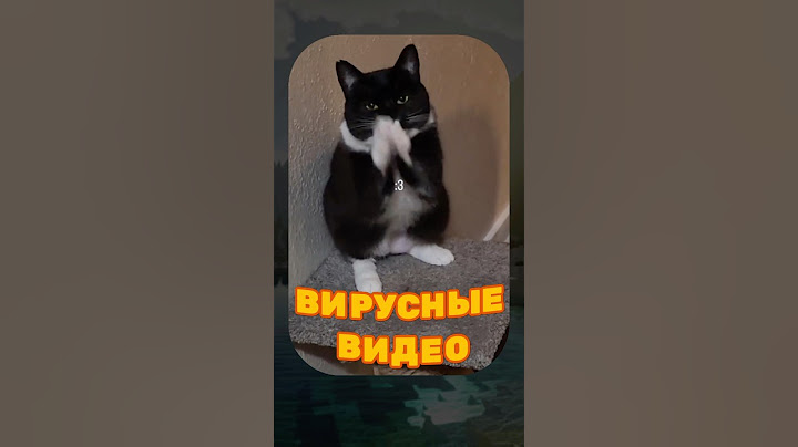 ВИРУСНЫЕ ВИДЕО / Кот едет в ветеринарку 😱