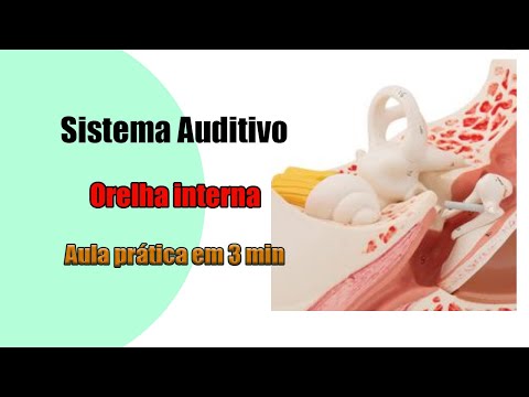 Vídeo: Anatomia, Função E Saúde Do Ouvido Interno