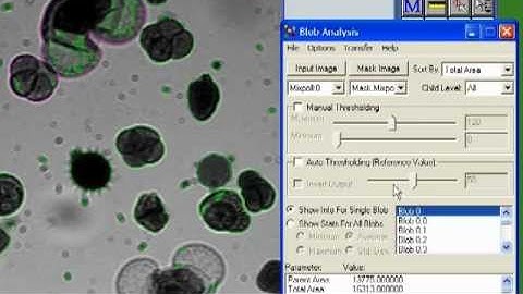 HLImage++ Blob Analysis Tool Demo