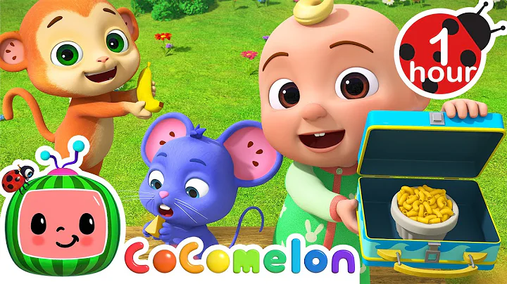 Yummy Lunch Song + More CoComelon Nursery Rhymes & Animal Songs