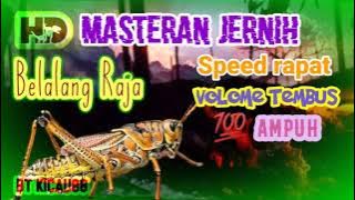 MASTERAN LEGENDARIS | BELALANG RAJA | Jernih full HD