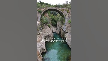 هو خيرا واعظم اجرا|سورة المزمل |القارئ عبد الرحمن مسعد|