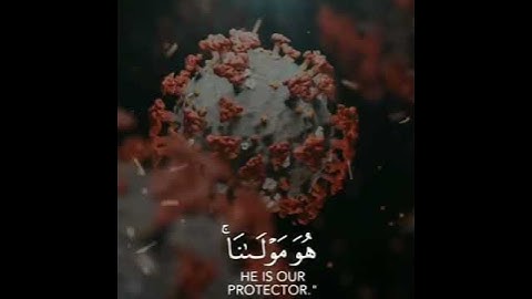 قران كريم | بصوت القارئ احمد العجمي | حالات واتس اب♥♥.