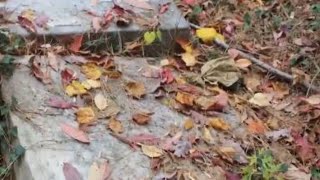 Judge orders HOA to clean up Piney Grove Cemetery in Buckhead
