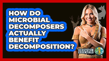 How Do Microbial Decomposers Actually Benefit Decomposition? - Ecosystem Essentials