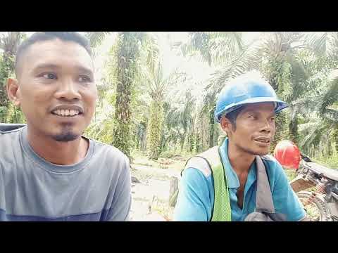 Ngobrol santai !!!