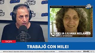 La medium que se comunicó con Conan, el perro de Milei: "Se reencarnó en uno de los clones"