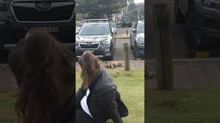 Reluctant Dog's Theatrics During a Walk