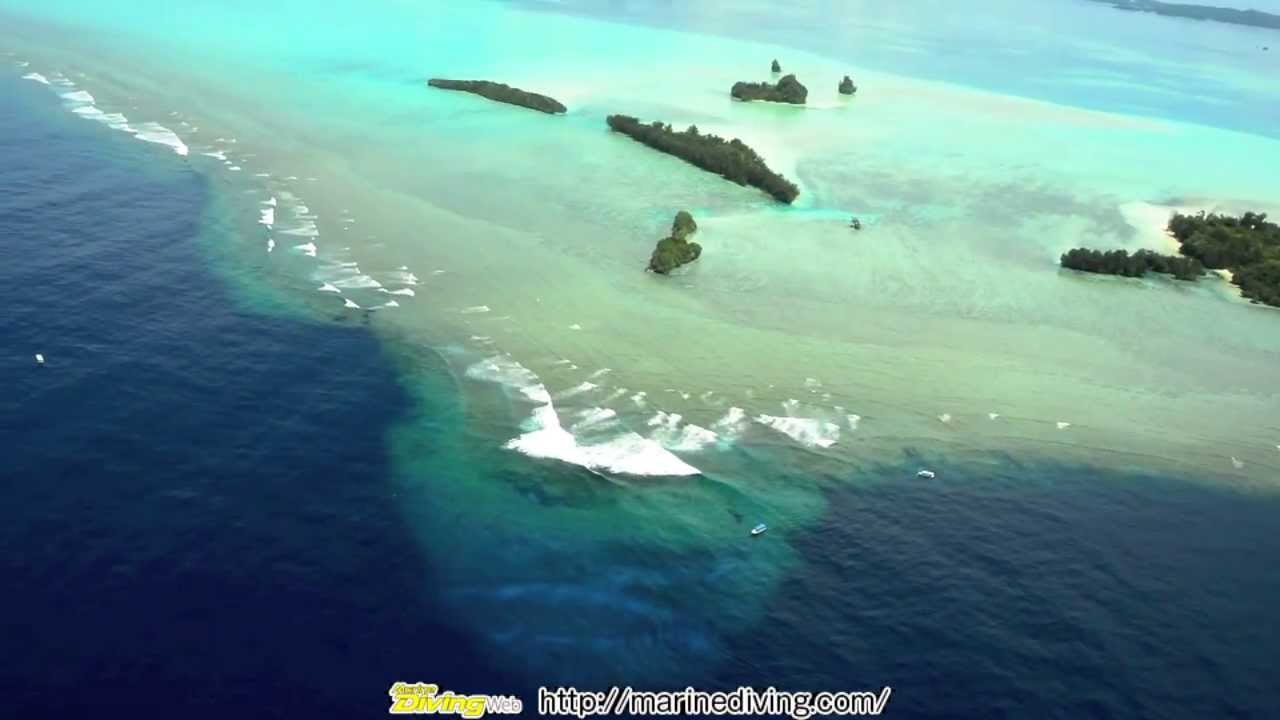 ダイビングと違う角度から見てみよう 空から見たパラオ エリア情報 Marine Diving Web マリンダイビングウェブ ダイビングと違う角度から見てみよう 空から見たパラオ エリア情報 Marine Diving Web マリンダイビングウェブ
