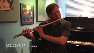 Chris Potter Demonstrates The Volare Flute VOL805 by RS Berkeley