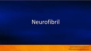 Pronunciation of the word(s) Neurofibril.
