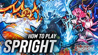 HOW TO PLAY SPRIGHT! (IN-DEPTH Combo Tutorial & Deck Profile)