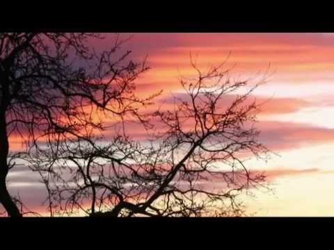 Sitar Instrumental - Fusion of Sitar and Diverse Instruments - Fiesta from Sitar Lounge (Complete)