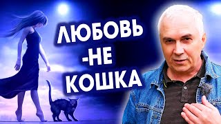 Любовь-это кошка-сама по себе? ❣ Александр Ковальчук 💬 Психолог Отвечает