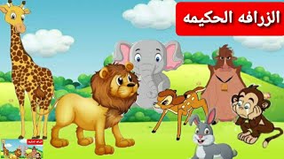 الزرافه الحكيمه وأعداء الأسد|#أنا أنا الزرافه|حواديت ماماسومه|ز-زرافه|الحيوانات|سيمبا ملك الغابه|قصص