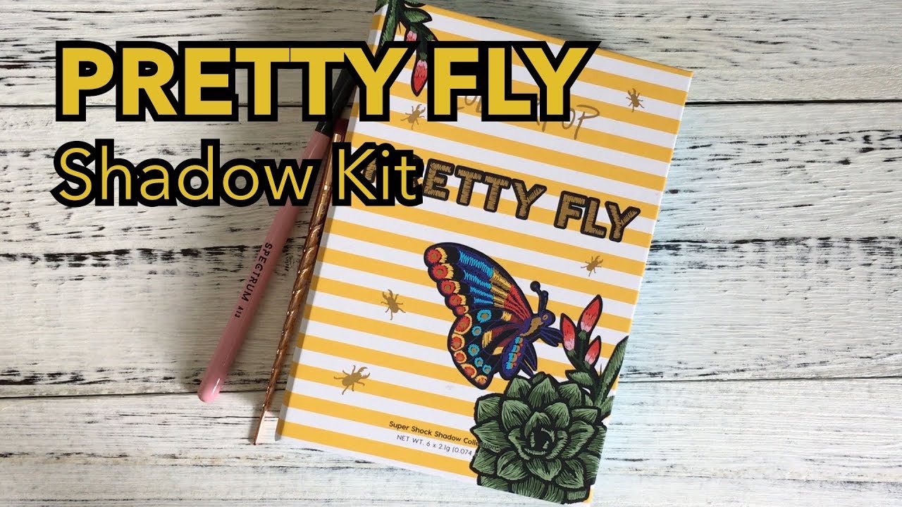 ColourPop PRETTY FLY Shadow Kit Swatches + Free Eyeshadow Storage Box (DIY)