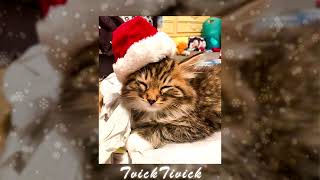 картинка: 🎄 Новогодний Плейлист! 🎄Плейлист С Зимним Вайбом! 🎄 Speed Up! 🎄 Плейлист Популярных Песен Из TikTok!