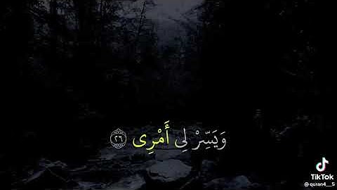 سورة طه قال ربي اشرح لي ويسر لي امري
