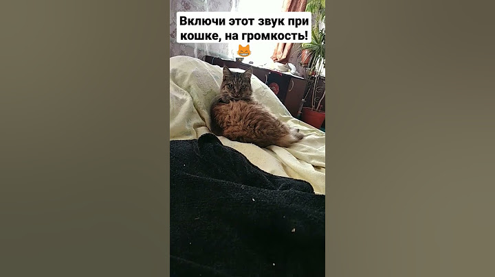 Нюша хоть и не подошла, но звук услышала😸