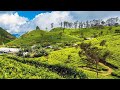 Lipton's Seat - Haputale, Sri Lanka 🇱🇰