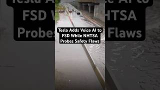 Tesla Adds Voice AI to FSD While NHTSA Probes Safety Flaws