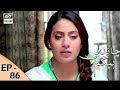 Watch Chandni Begum Episode 86 - 14th February 2018 - ARY Digital Drama Online In Hd