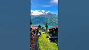 Steam train in Switzerland #switzerland #brienz #brienzersee #travel #nature