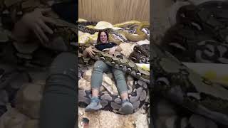 just me and some giant python ladies