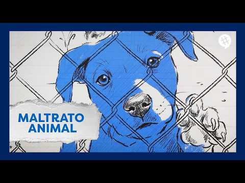 Animal Abuse | #Trending