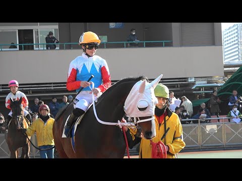 ミカエル・ミシェルさん 直筆サイン付き写真 競馬 JRA 川崎競馬 証明書付1枚 YW2F5AWA7VMYPEMUJ6SH7BX4BE.jpg